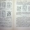Wiener Schachzeitung 9. Jahrgang, 1906 - Image 4