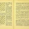 HET SCHAAKSPEL. modern leerboek voor beginners en ingewijden - Image 3